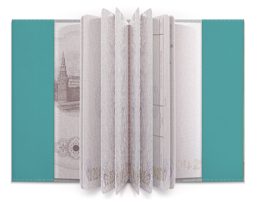 Заказать обложку для паспорта в Москве. Обложка для паспорта Марс, привет??? от Vicky - готовые дизайны и нанесение принтов.