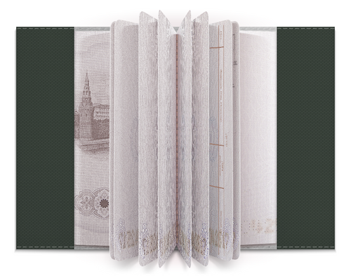 Заказать обложку для паспорта в Москве. Обложка для паспорта Паспорт Арстоцки от Томас Ризенкампф - готовые дизайны и нанесение принтов.