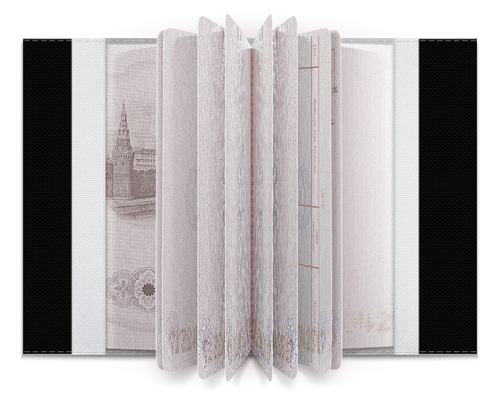 Заказать обложку для паспорта в Москве. Обложка для паспорта SKULL от The ClashOfMax Show - готовые дизайны и нанесение принтов.