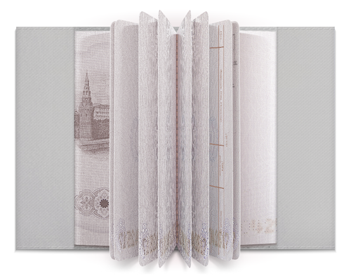 Заказать обложку для паспорта в Москве. Обложка для паспорта Дзубиньо от Марина - готовые дизайны и нанесение принтов.