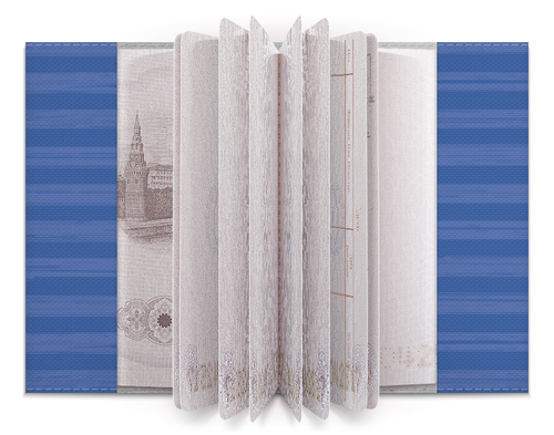 Заказать обложку для паспорта в Москве. Обложка для паспорта В полоску от valezar - готовые дизайны и нанесение принтов.