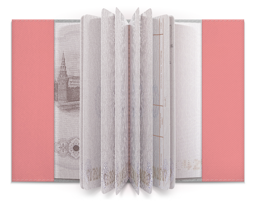 Заказать обложку для паспорта в Москве. Обложка для паспорта Авокадо Авокадик от MariYang  - готовые дизайны и нанесение принтов.