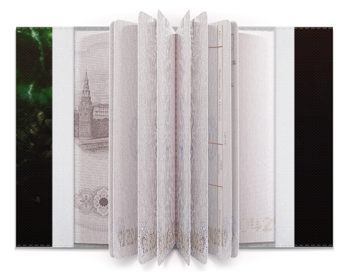 Заказать обложку для паспорта в Москве. Обложка для паспорта Зеленая стрела от Arrow92 - готовые дизайны и нанесение принтов.