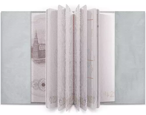Заказать обложку для паспорта в Москве. Обложка для паспорта Зимний узор  от Anstey  - готовые дизайны и нанесение принтов.