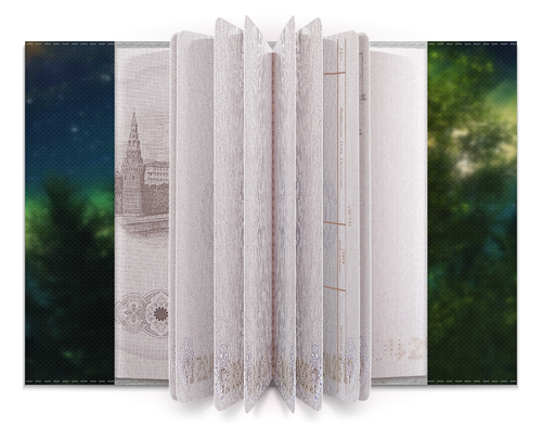 Заказать обложку для паспорта в Москве. Обложка для паспорта Звёздное небо Скайрима от Елисей Куксин - готовые дизайны и нанесение принтов.