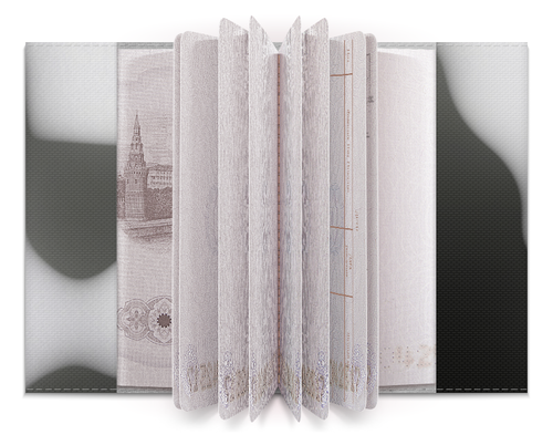 Заказать обложку для паспорта в Москве. Обложка для паспорта Сияние от bd-art  - готовые дизайны и нанесение принтов.
