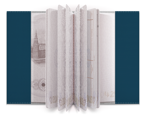 Заказать обложку для паспорта в Москве. Обложка для паспорта Рагнарок от Александра Кунаш - готовые дизайны и нанесение принтов.