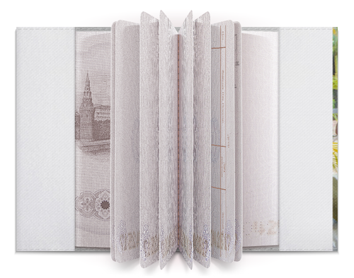 Заказать обложку для паспорта в Москве. Обложка для паспорта Без названия от alexey086 - готовые дизайны и нанесение принтов.