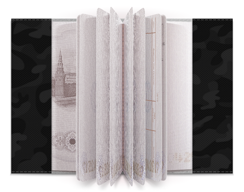 Заказать обложку для паспорта в Москве. Обложка для паспорта  Black&Blue skull от ZakonVash - готовые дизайны и нанесение принтов.