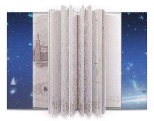 Заказать обложку для паспорта в Москве. Обложка для паспорта Бездомный бог (Ято) от GeekFox  - готовые дизайны и нанесение принтов.