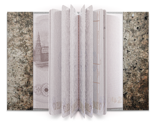 Заказать обложку для паспорта в Москве. Обложка для паспорта LINKIN PARK от robus - готовые дизайны и нанесение принтов.