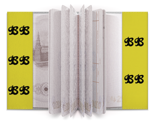 Заказать обложку для паспорта в Москве. Обложка для паспорта Bigbang лайтстик корона от nionilla - готовые дизайны и нанесение принтов.