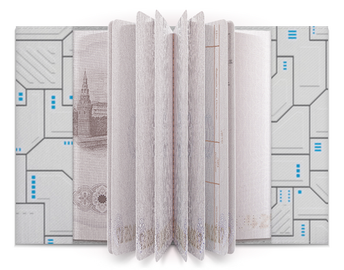 Заказать обложку для паспорта в Москве. Обложка для паспорта Супер броня от bd-art  - готовые дизайны и нанесение принтов.