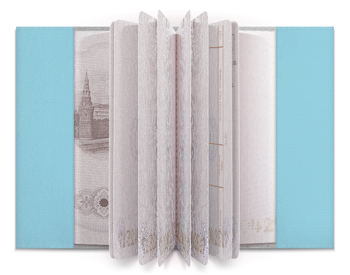 Заказать обложку для паспорта в Москве. Обложка для паспорта Мэл (Mel) от tadashi - готовые дизайны и нанесение принтов.