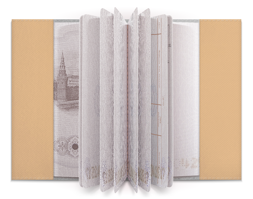Заказать обложку для паспорта в Москве. Обложка для паспорта Турист от valezar - готовые дизайны и нанесение принтов.