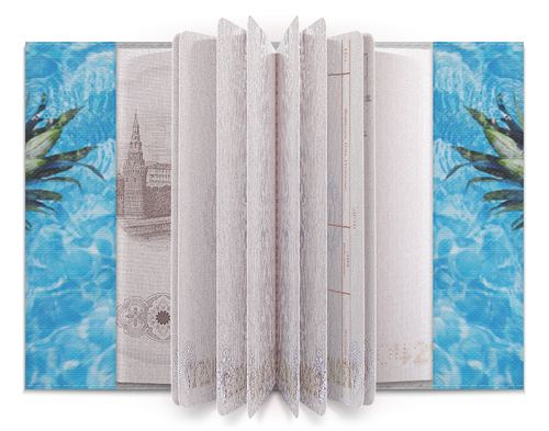 Заказать обложку для паспорта в Москве. Обложка для паспорта Лето! от FireFoxa - готовые дизайны и нанесение принтов.