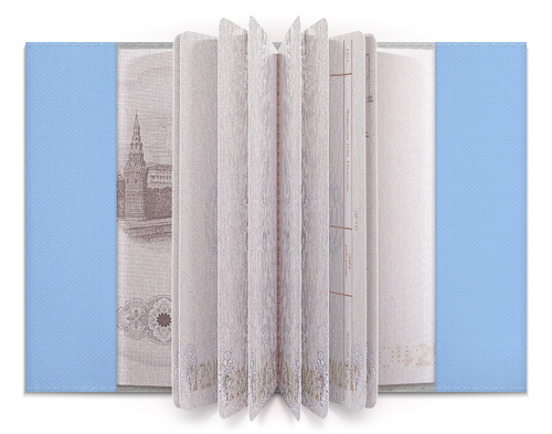 Заказать обложку для паспорта в Москве. Обложка для паспорта Дэб Единорог от Jimmy Flash - готовые дизайны и нанесение принтов.