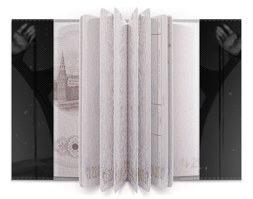 Заказать обложку для паспорта в Москве. Обложка для паспорта Император человечества от GeekFox  - готовые дизайны и нанесение принтов.