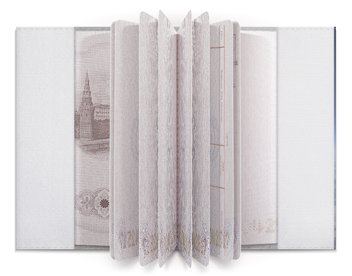Заказать обложку для паспорта в Москве. Обложка для паспорта Путешествие на самолёте от FireFoxa - готовые дизайны и нанесение принтов.