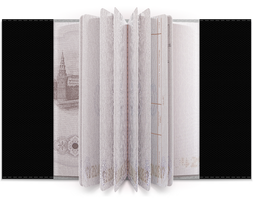 Заказать обложку для паспорта в Москве. Обложка для паспорта «Дама с горностаем» от Соль  - готовые дизайны и нанесение принтов.