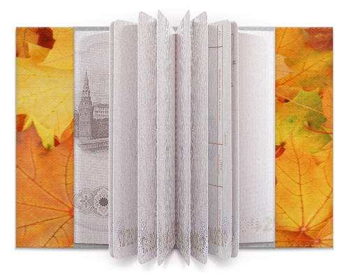 Заказать обложку для паспорта в Москве. Обложка для паспорта Осень от queen  - готовые дизайны и нанесение принтов.