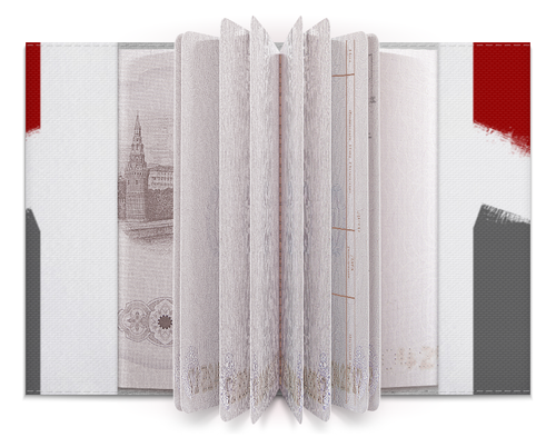 Заказать обложку для паспорта в Москве. Обложка для паспорта Break the Madness от Дмитрий - готовые дизайны и нанесение принтов.