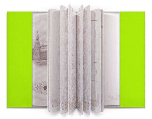 Заказать обложку для паспорта в Москве. Обложка для паспорта Грустная лягушка от Jimmy Flash - готовые дизайны и нанесение принтов.