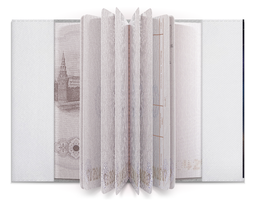Заказать обложку для паспорта в Москве. Обложка для паспорта Space от Дарья  - готовые дизайны и нанесение принтов.