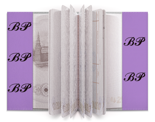 Заказать обложку для паспорта в Москве. Обложка для паспорта Blackpink лайтстик (пончик на салфетке) от nionilla - готовые дизайны и нанесение принтов.