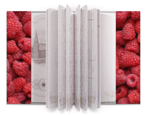 Заказать обложку для паспорта в Москве. Обложка для паспорта Малина от scoopysmith - готовые дизайны и нанесение принтов.