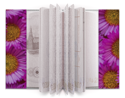 Заказать обложку для паспорта в Москве. Обложка для паспорта Астры от valezar - готовые дизайны и нанесение принтов.