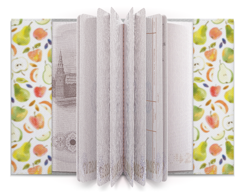 Заказать обложку для паспорта в Москве. Обложка для паспорта Компот от vkonoplev - готовые дизайны и нанесение принтов.