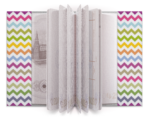 Заказать обложку для паспорта в Москве. Обложка для паспорта Zigzag от Jimmy Flash - готовые дизайны и нанесение принтов.