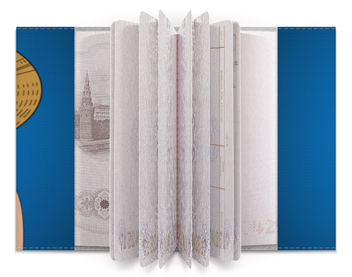 Заказать обложку для паспорта в Москве. Обложка для паспорта Луффи - Чё??!! от bd-art  - готовые дизайны и нанесение принтов.