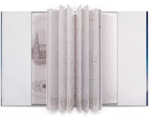 Заказать обложку для паспорта в Москве. Обложка для паспорта Снегурочка от eszadesign - готовые дизайны и нанесение принтов.