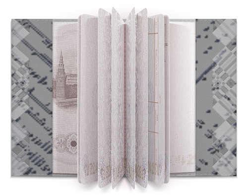 Заказать обложку для паспорта в Москве. Обложка для паспорта Неон большого города. от Eva De Peron.  - готовые дизайны и нанесение принтов.