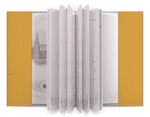 Заказать обложку для паспорта в Москве. Обложка для паспорта Ленивец турист от Leichenwagen - готовые дизайны и нанесение принтов.