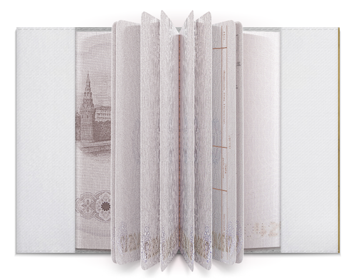Заказать обложку для паспорта в Москве. Обложка для паспорта Imagine Dragons от aleks_say - готовые дизайны и нанесение принтов.