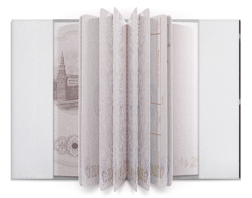 Заказать обложку для паспорта в Москве. Обложка для паспорта Монстр Хай от Arrow92 - готовые дизайны и нанесение принтов.