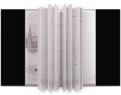 Заказать обложку для паспорта в Москве. Обложка для паспорта «Дама с тигром» от Соль  - готовые дизайны и нанесение принтов.