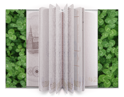 Заказать обложку для паспорта в Москве. Обложка для паспорта День Святого Патрика от FireFoxa - готовые дизайны и нанесение принтов.