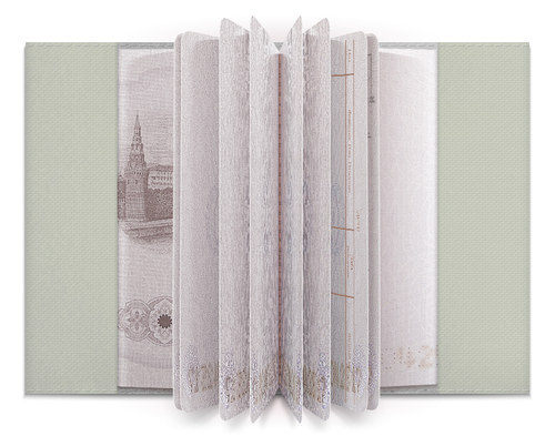Заказать обложку для паспорта в Москве. Обложка для паспорта The Shining от BigBrother - готовые дизайны и нанесение принтов.