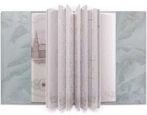 Заказать обложку для паспорта в Москве. Обложка для паспорта Морозный узор от Anstey  - готовые дизайны и нанесение принтов.