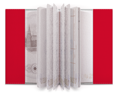 Заказать обложку для паспорта в Москве. Обложка для паспорта Angry Birds (Terence) от Аня Лукьянова - готовые дизайны и нанесение принтов.