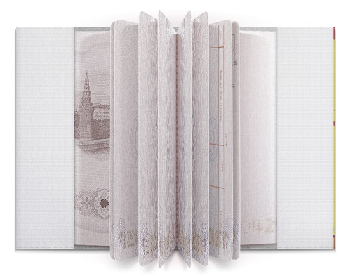 Заказать обложку для паспорта в Москве. Обложка для паспорта Паутинка от Vadim Koval - готовые дизайны и нанесение принтов.