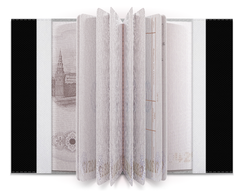 Заказать обложку для паспорта в Москве. Обложка для паспорта Флэш молния от Arrow92 - готовые дизайны и нанесение принтов.