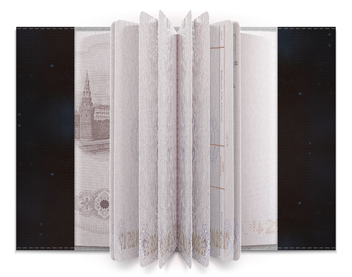 Заказать обложку для паспорта в Москве. Обложка для паспорта Starpoint Gemini Warlords от Аня Лукьянова - готовые дизайны и нанесение принтов.
