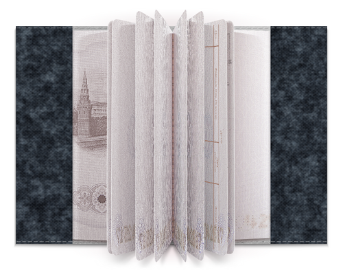 Заказать обложку для паспорта в Москве. Обложка для паспорта Ньярлатхотеп от Дана Столыпина - готовые дизайны и нанесение принтов.