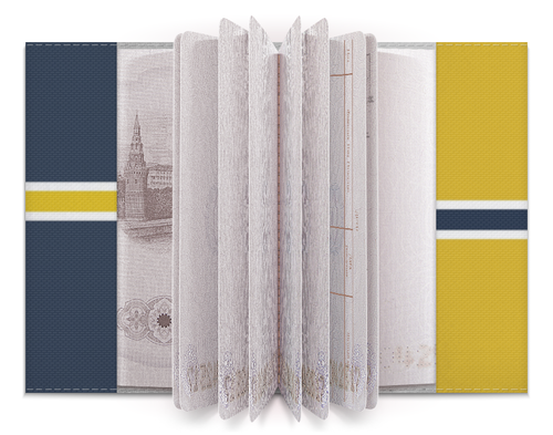 Заказать обложку для паспорта в Москве. Обложка для паспорта CS GO от Polilog - готовые дизайны и нанесение принтов.