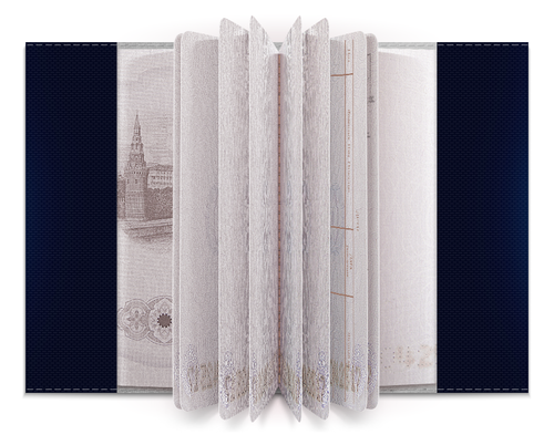 Заказать обложку для паспорта в Москве. Обложка для паспорта X-RAY SKULL от Jimmy Flash - готовые дизайны и нанесение принтов.